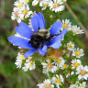 Meet your Posher, Marlene